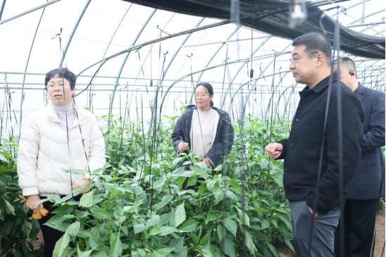 微信图片_2025-12-15_162728_521.png CA88(中国)唯一官方网站入口